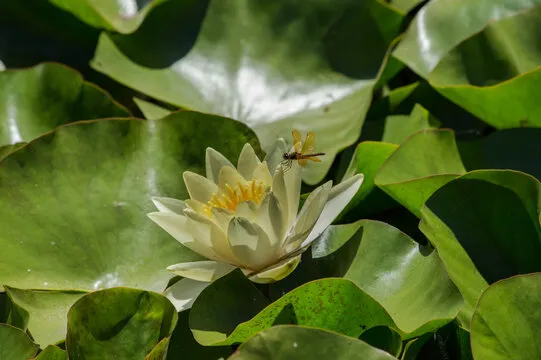 公司位置 - 地图示意